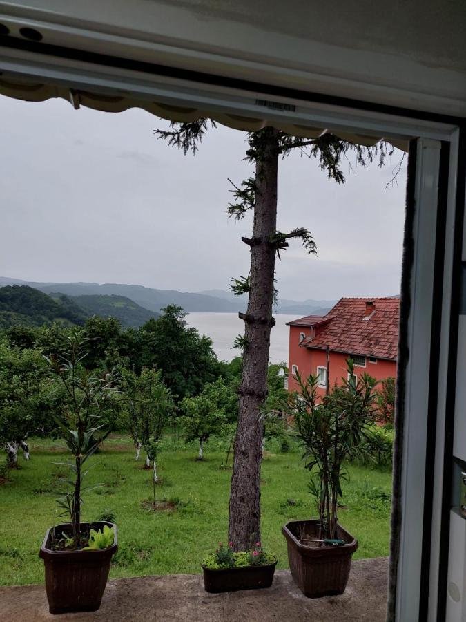 Apartmani Kuljanin ドニー・ミラノヴァツ 部屋 写真