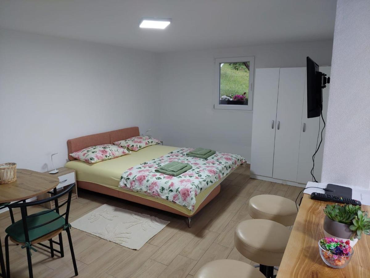 Apartmani Kuljanin ドニー・ミラノヴァツ 部屋 写真
